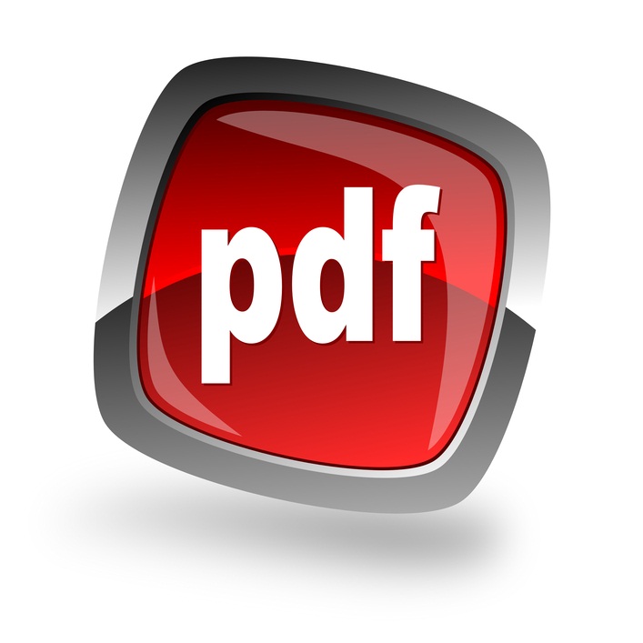 pdf icon